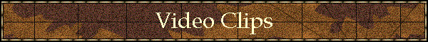 Video Clips