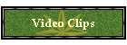 Video Clips