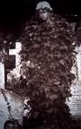 Brompton England Ivy Angel Van Dyke print