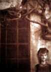 Kallitype/Van Dyke Gallery - Meridian Cherub Vandyke print