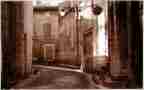 Provence Chat Noir Vandyke Print
