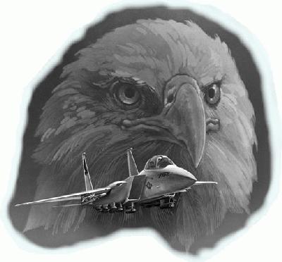 Loading image of the EAGLE