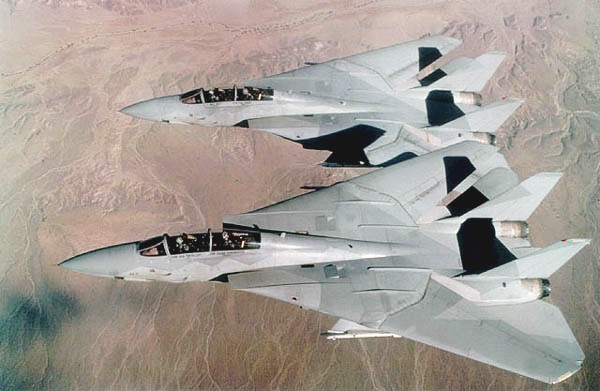 F-14, Fleet Defender