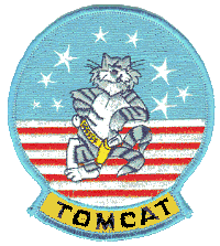 Tomcat patch