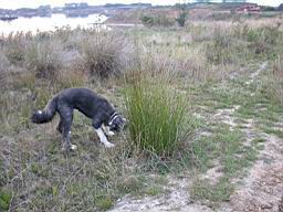 eimage002.jpg