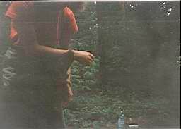 gimage016.jpg