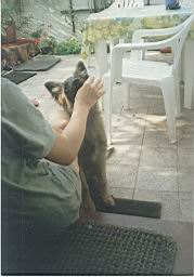 gimage018.jpg