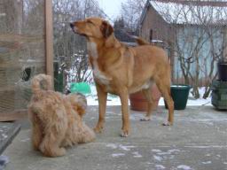 iimage001.jpg