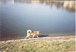 iimage004.jpg