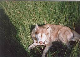 jimage001.jpg