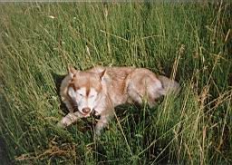 jimage002.jpg