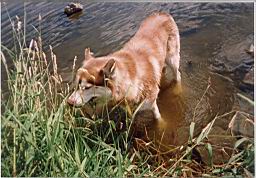 jimage004.jpg