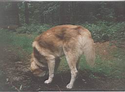 jimage005.jpg