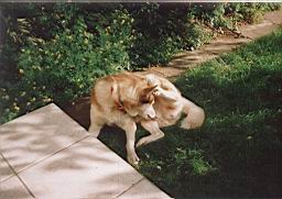 limage014.jpg