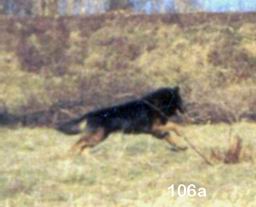 nimage016.jpg