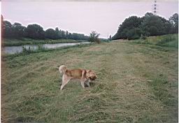 nimage021.jpg