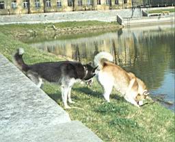 oimage004.jpg