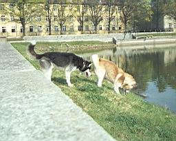 oimage005.jpg