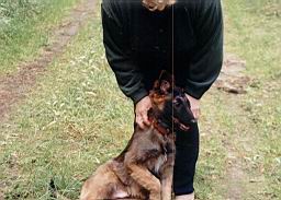 oimage006.jpg