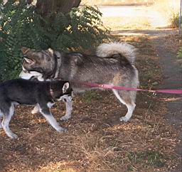 oimage008.jpg