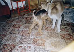 oimage009.jpg