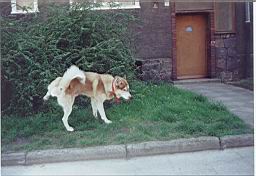 oimage010.jpg