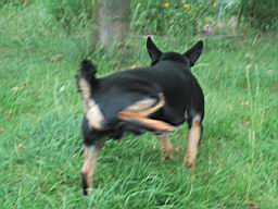 oimage011.jpg