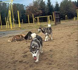 oimage013.jpg
