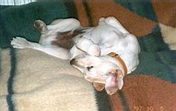 oimage017.jpg