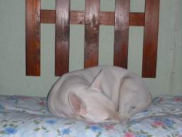 oimage018.jpg