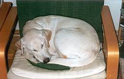 oimage019.jpg