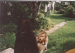 oimage024.jpg