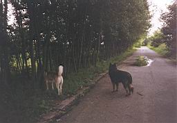 oimage025.jpg