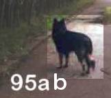 oimage026.jpg