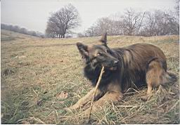 oimage036.jpg
