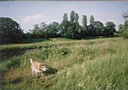 oimage043.jpg