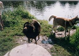 oimage044.jpg