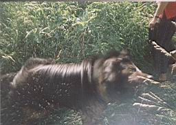 oimage045.jpg