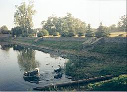 pimage025.jpg