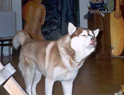 pimage096.jpg