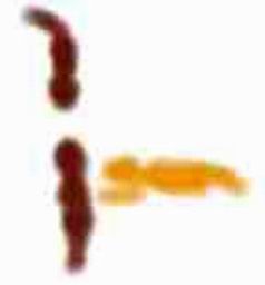 rimage003.jpg