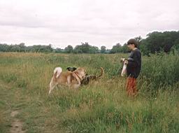 simage019.jpg