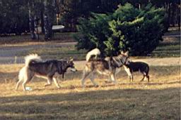 uimage007.jpg