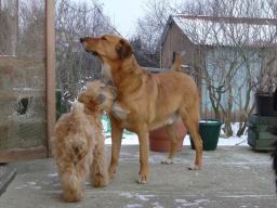 uimage010.jpg