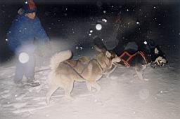 uimage014.jpg