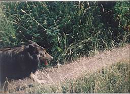 uimage025.jpg