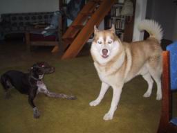uimage030.jpg