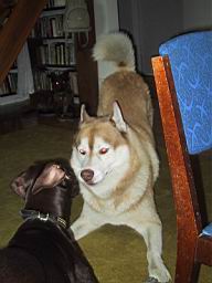 uimage031.jpg