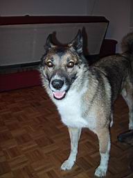uimage032.jpg