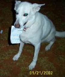 uimage039.jpg